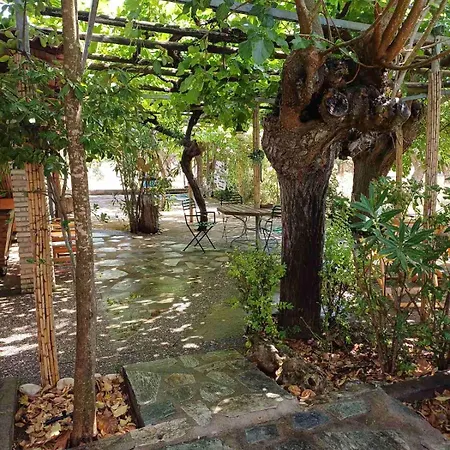 Campo Elea - Menta & Levanta مكان تخييم