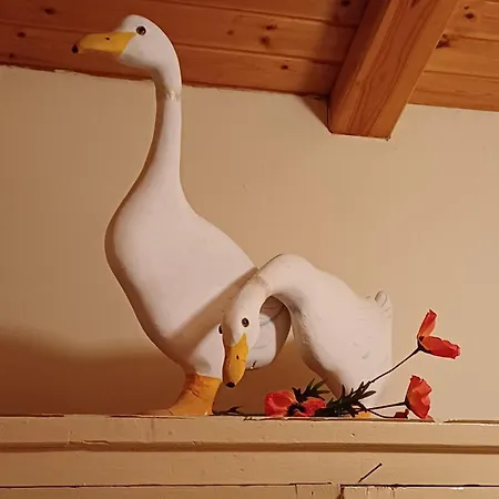 Campo Elea - Menta & Levanta *