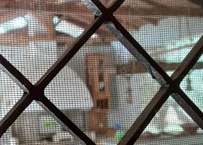 Campo Elea - Menta & Levanta