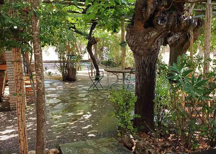 Campo Elea - Menta & Levanta Kemp