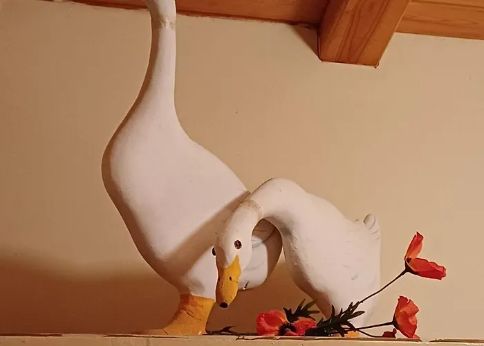 Campo Elea - Menta & Levanta *