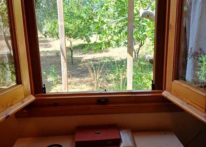 Campo Elea - Menta & Levanta *